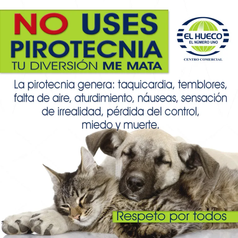 No a la Pólvora