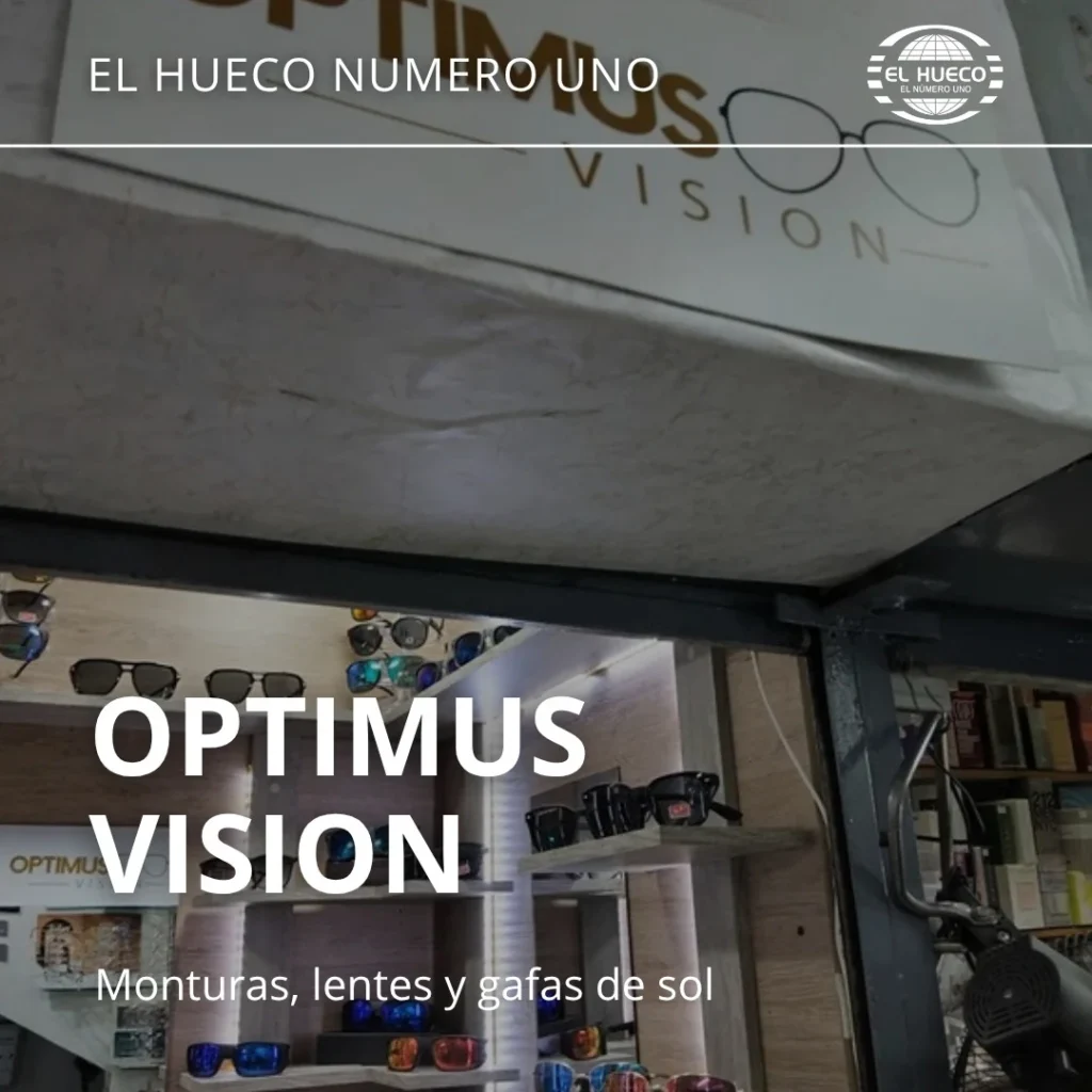 Optimus Vision